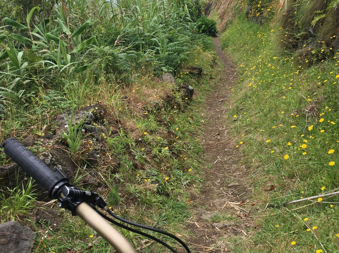 Azores Mountain Bike Holidays景点图片