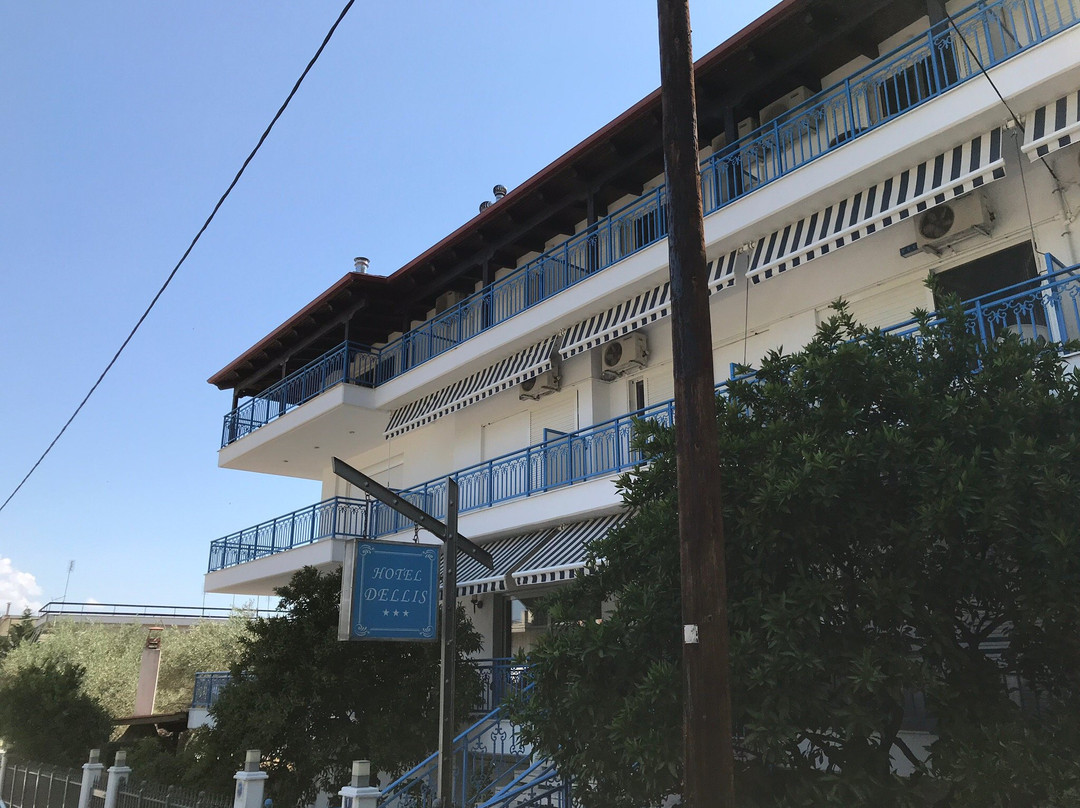 Hotel DELLIS主图