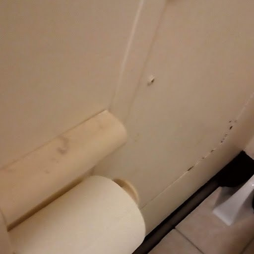 礁棕榈酒店主图