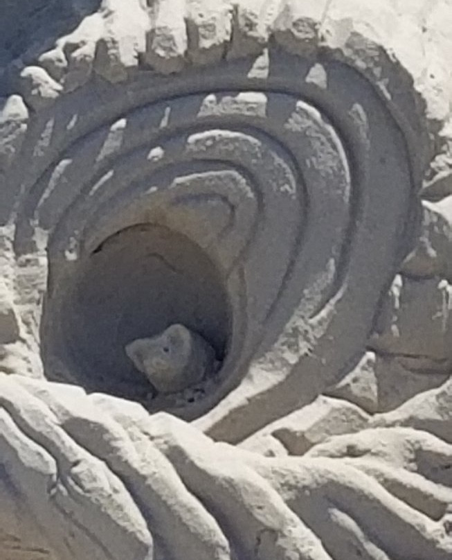 Texas SandFest-阿兰瑟斯港必去景点
