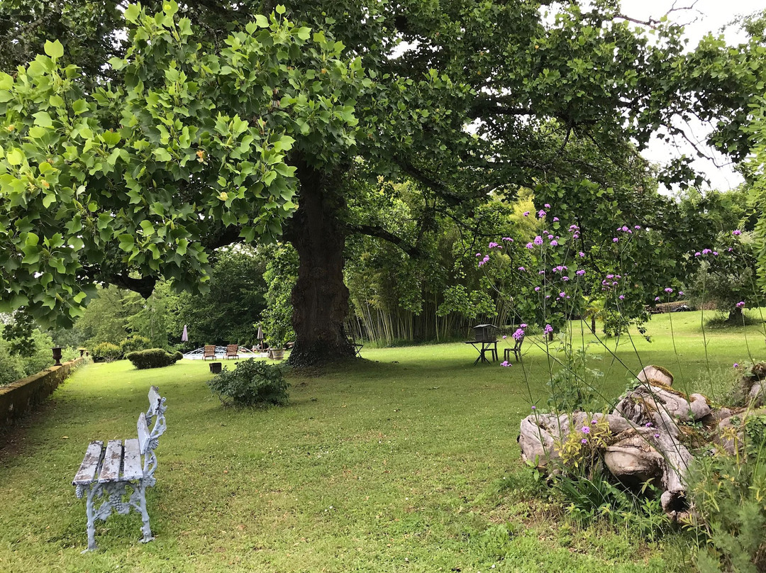 La Rebiere d'Or主图