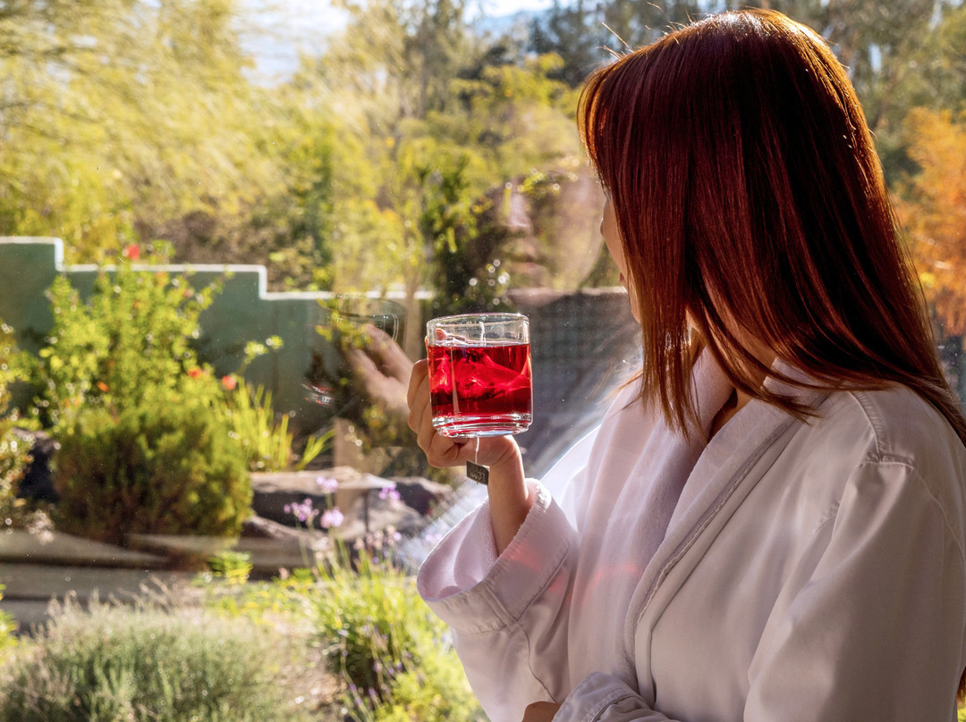 Canyon Ranch Wellness Resort Tucson主图