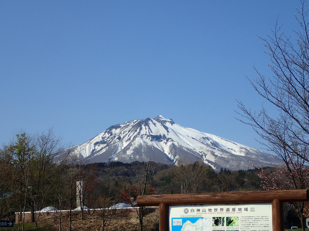 Shirakamikan主图