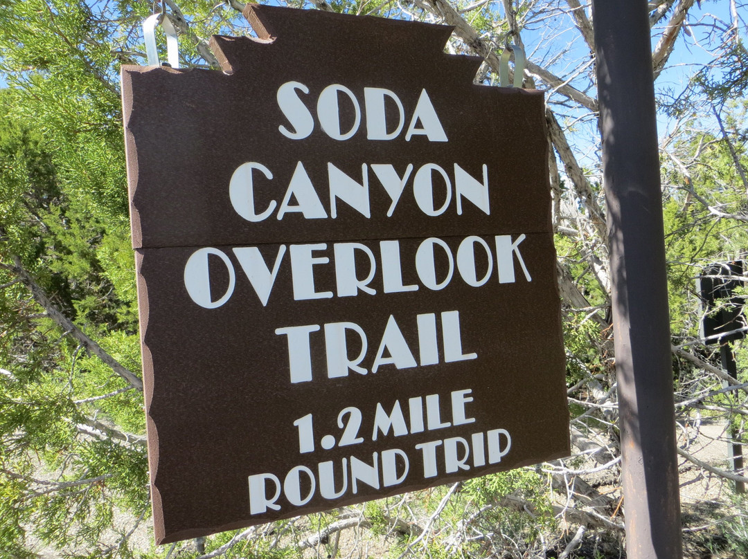 Soda Canyon Overlook Trail-梅萨维德国家公园必去景点