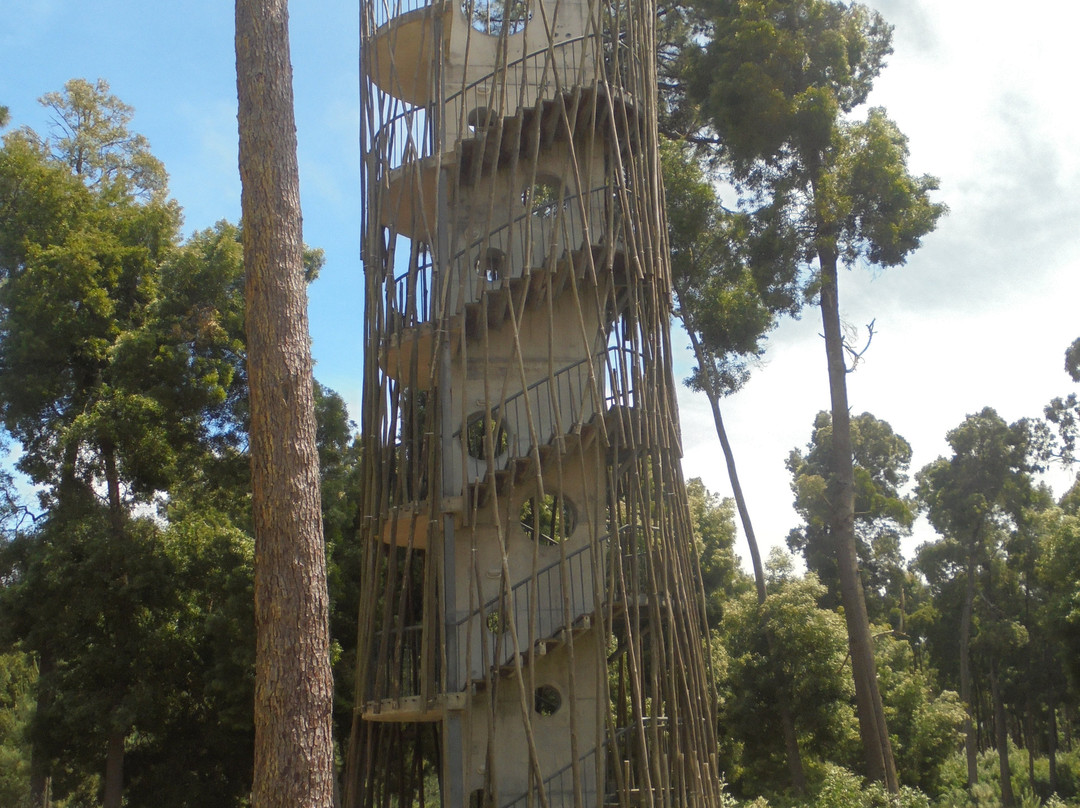 Parque Ambiental do Buçaquinho景点图片