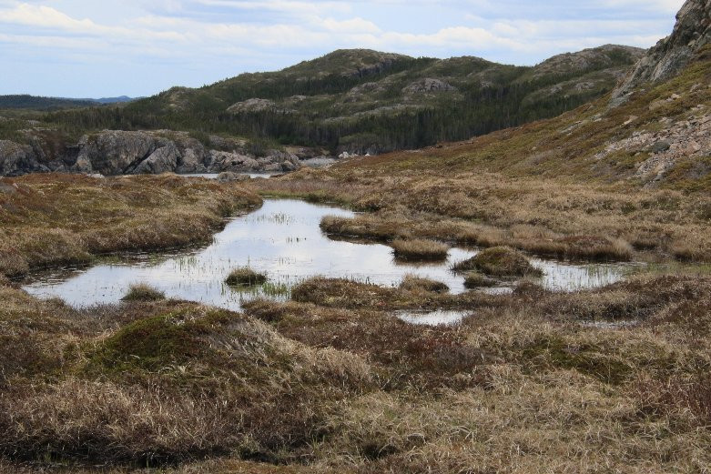 Lower Little Harbour Trail景点图片