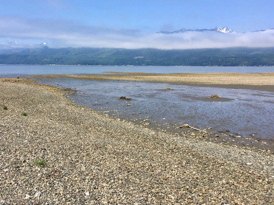 Guillemot Cove Nature Preserve-Seabeck必去景点