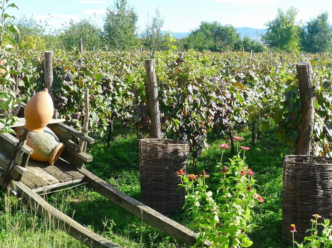 WehostXP-第比利斯必去景点