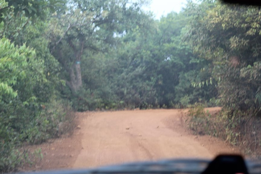 Dajipur Wildlife Sanctuary景点图片