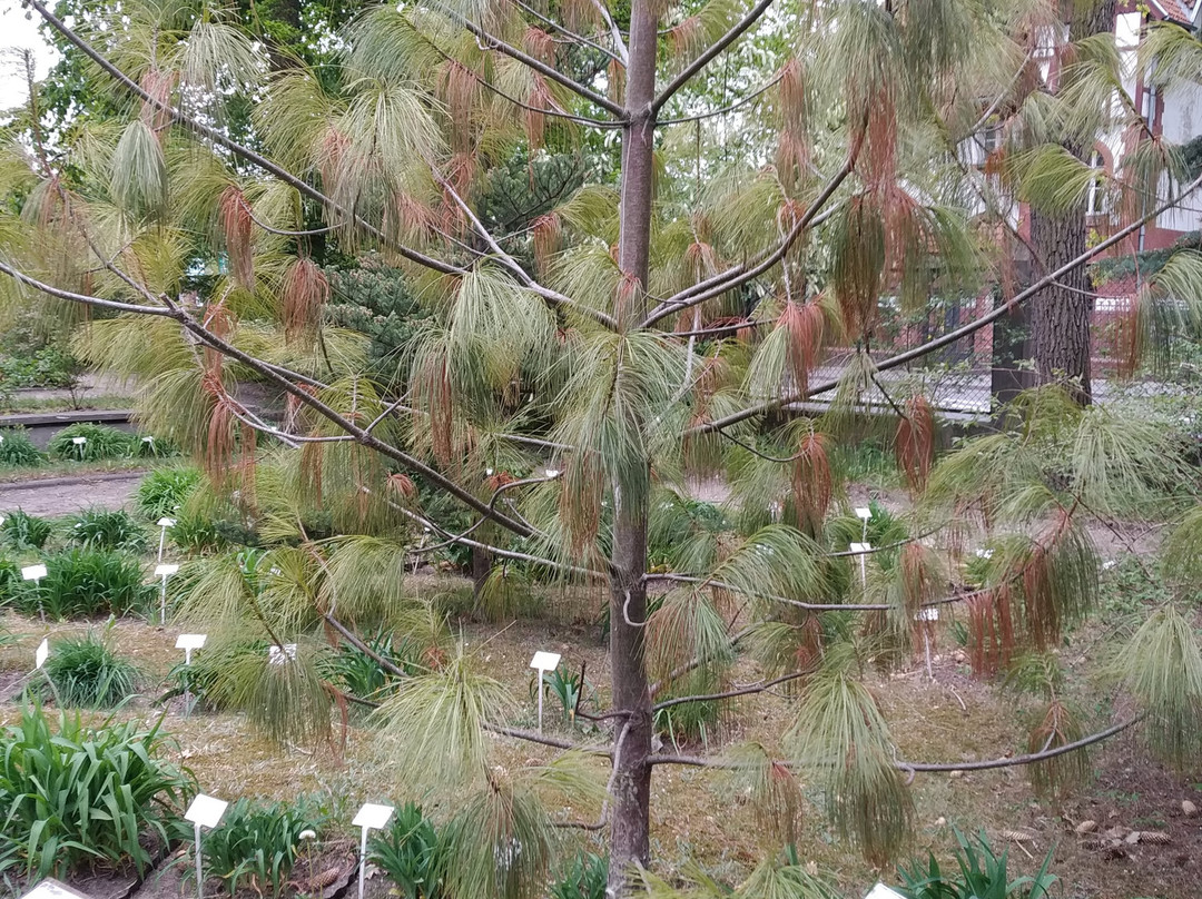 UKW Botanic Garden景点图片