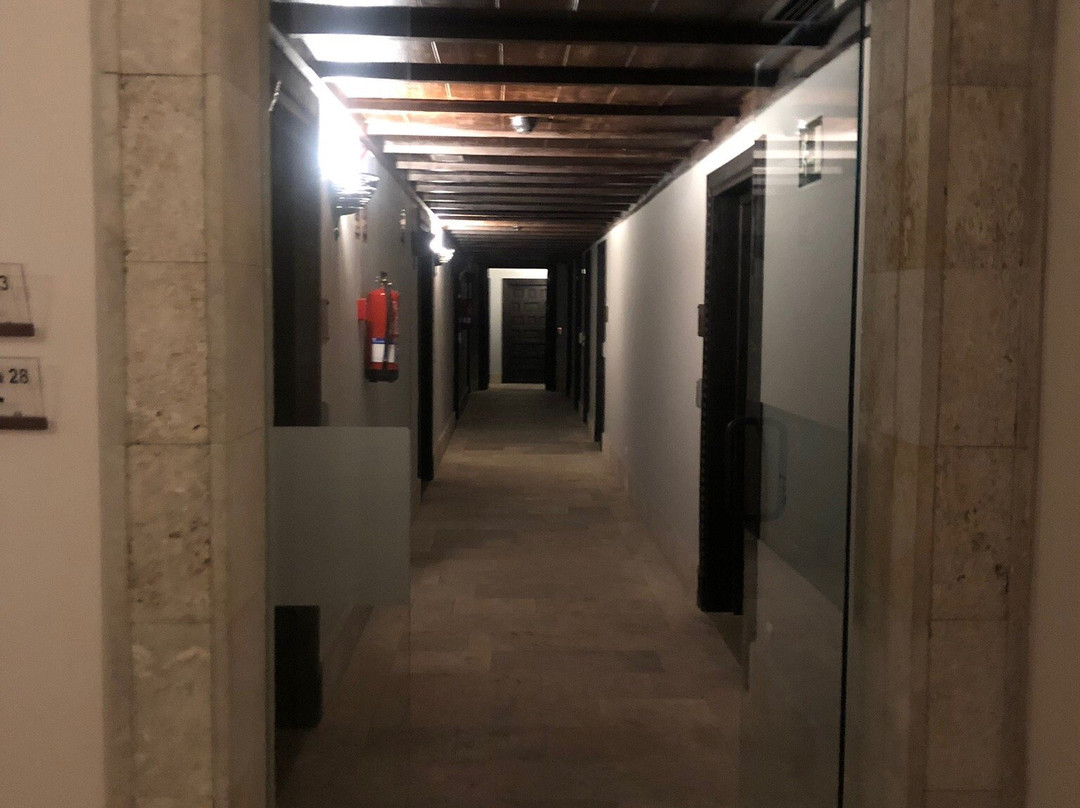 蒙西巴尔宫酒店主图