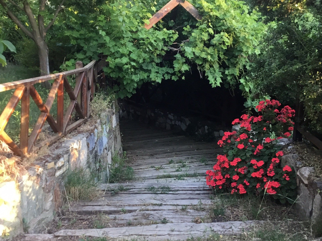 Şirince'm Saklı Vadi主图