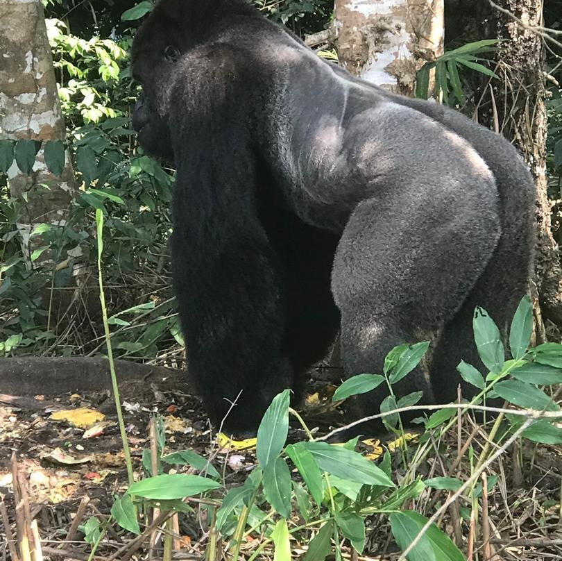 Wild Safari Tours-布拉萨市必去景点