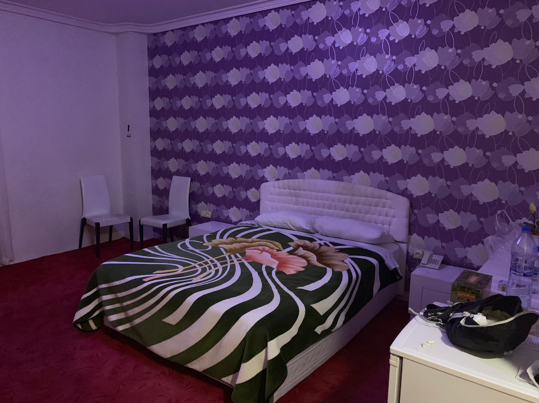 Kaleybar酒店住宿-Anza Hotel