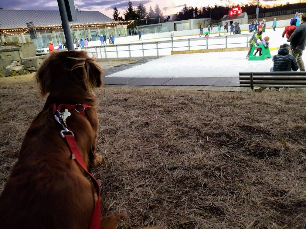 Larz Anderson Park-布鲁克莱恩必去景点