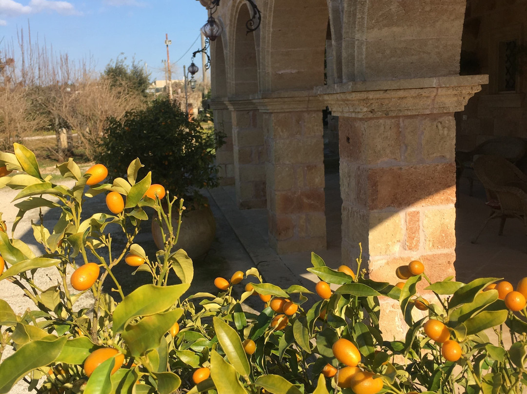 Tenuta Il Grifo主图