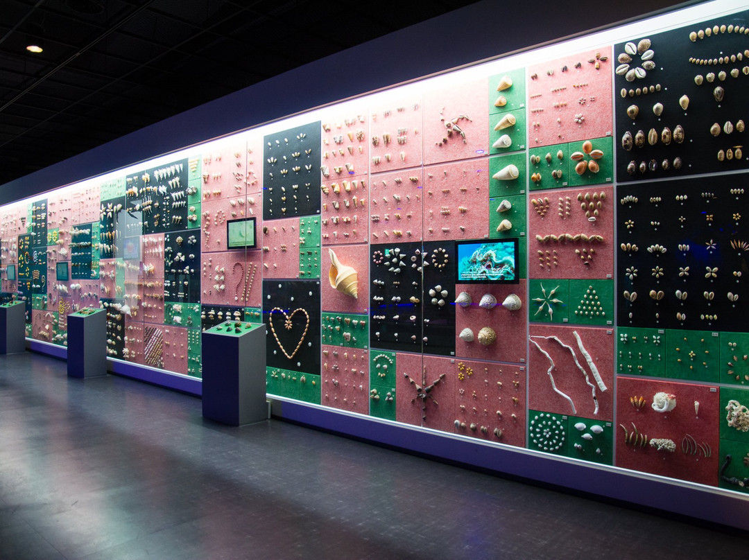 Ttangkkeut Marine Natural History Museum-海南郡必去景点