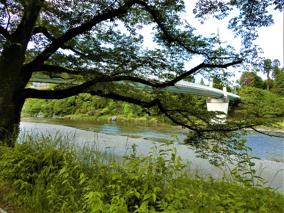 Ayumi Bridge-青梅市必去景点