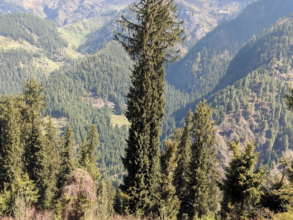 Satyam Home Stay主图