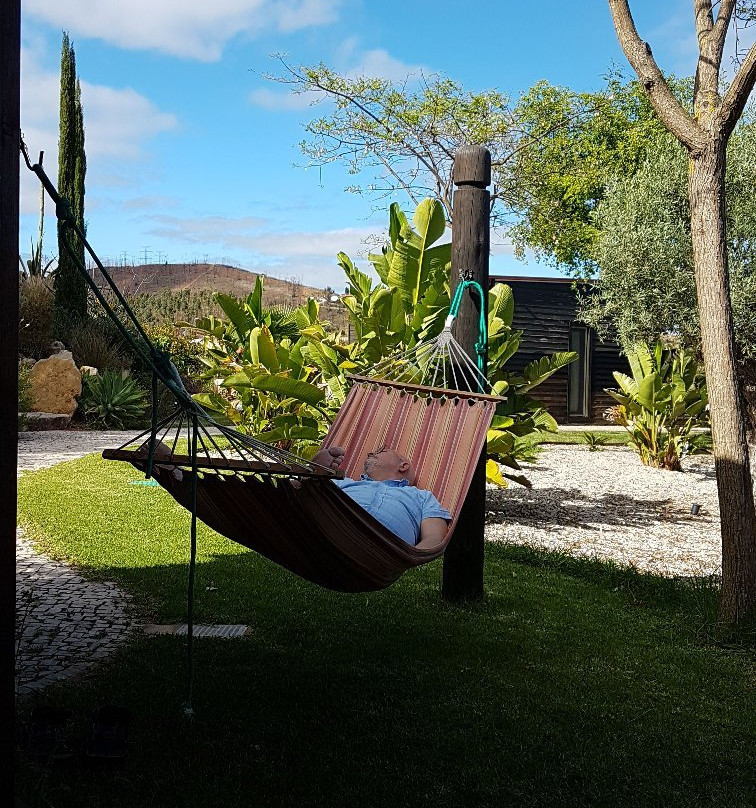 Gato Preto de Silves主图