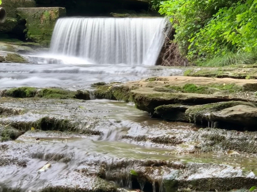 Saunders Springs Nature Preserve-Radcliff必去景点