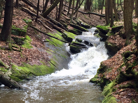 Chesterfield Gorge State Park-Chesterfield必去景点