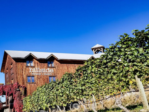 Upper End Wine Tours-基洛纳必去景点