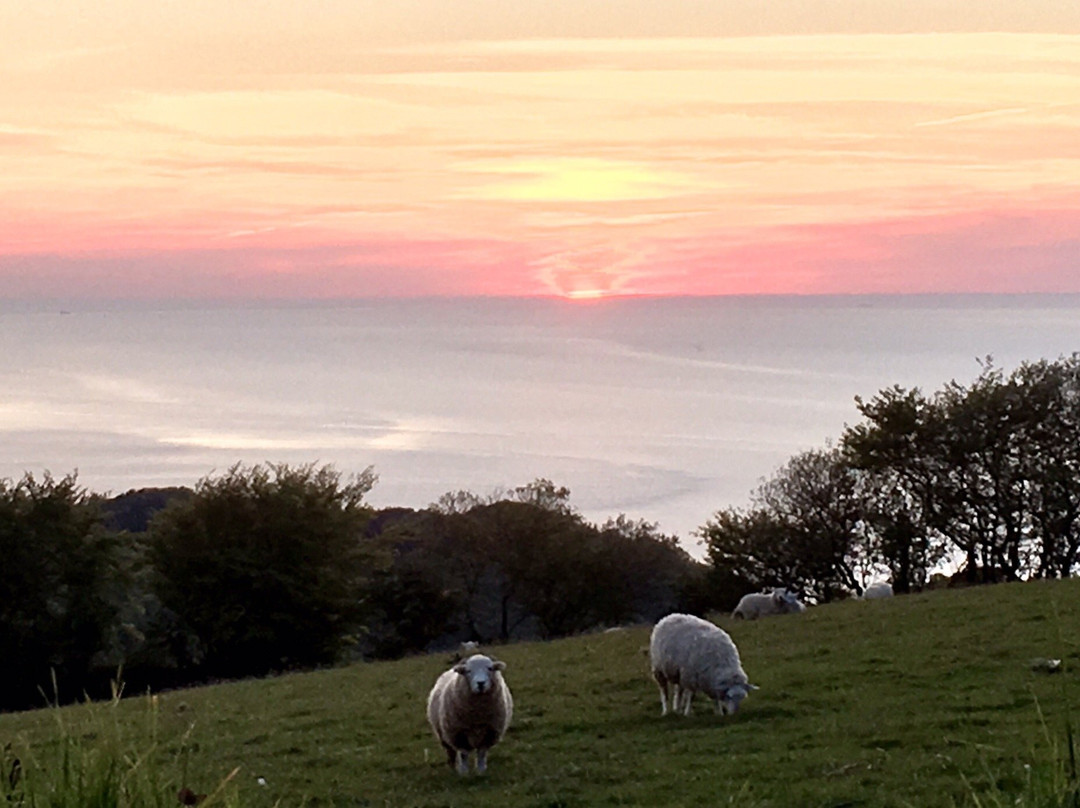 Lynton Camping and Caravanning Club Site