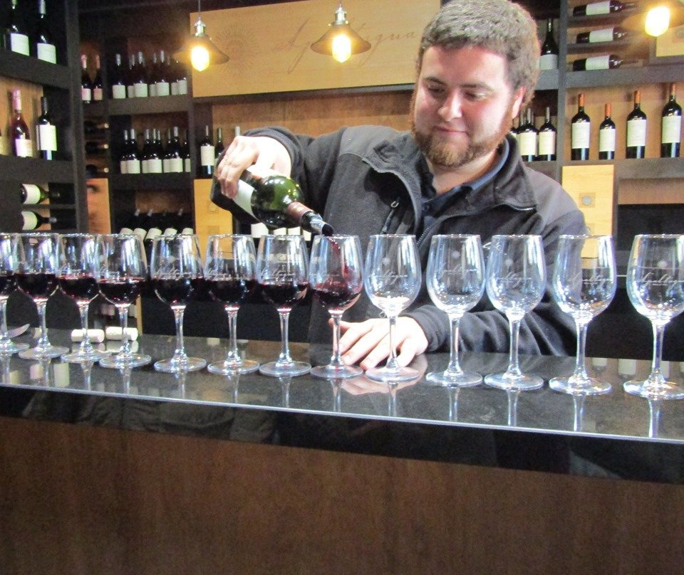 Vina Apaltagua-圣克鲁斯必去景点