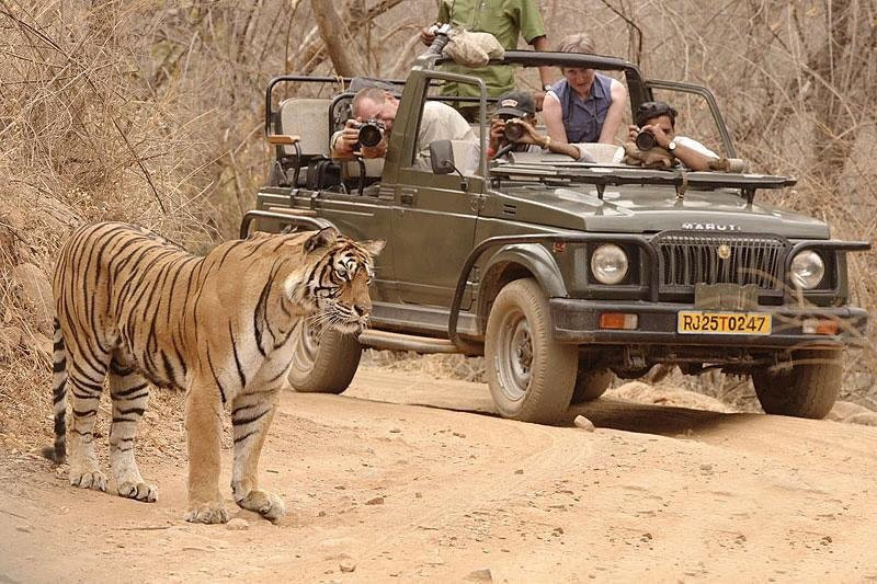 Discover India Tours Pvt Ltd-新德里必去景点