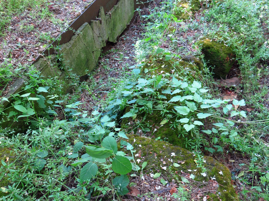 Area Archeologica di Fratte景点图片