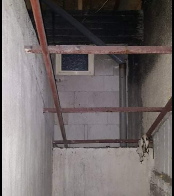 Orfeas Classic主图