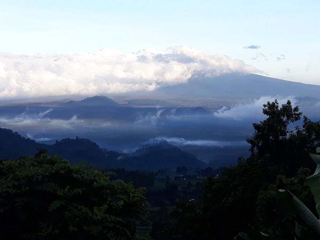 Virunga National Park - Mount Nyiragongo & Mountain Gorilla Treks景点图片