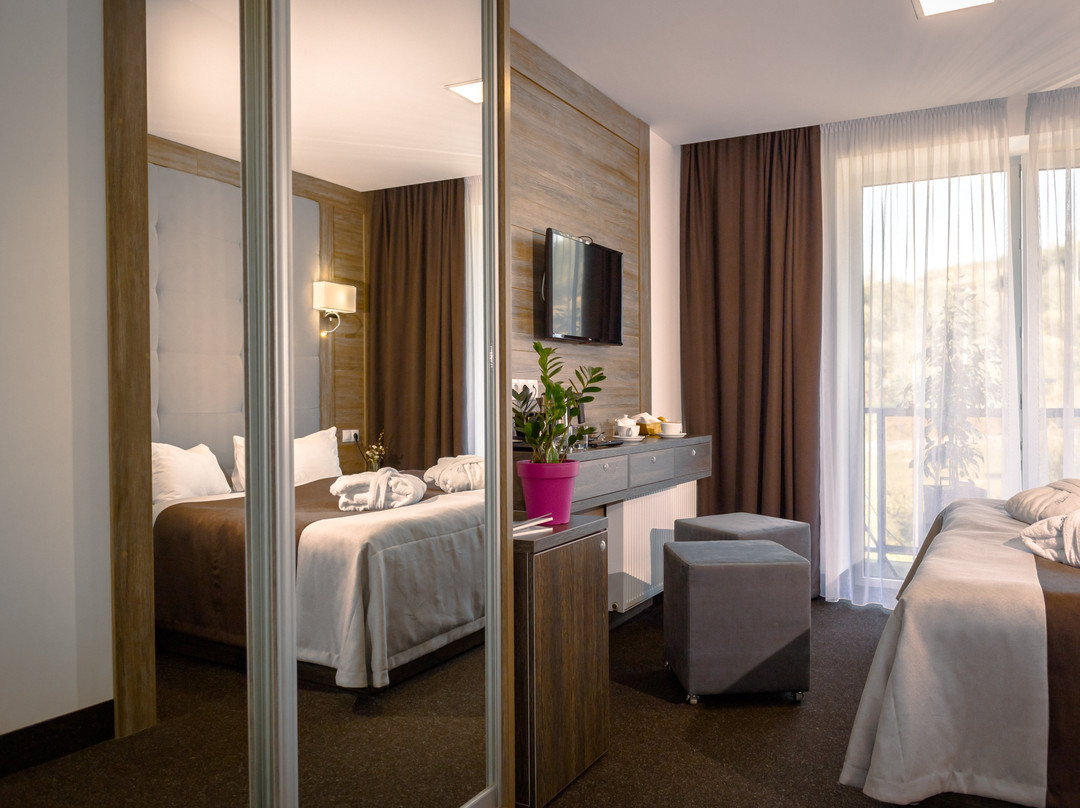Vilson Hotel主图