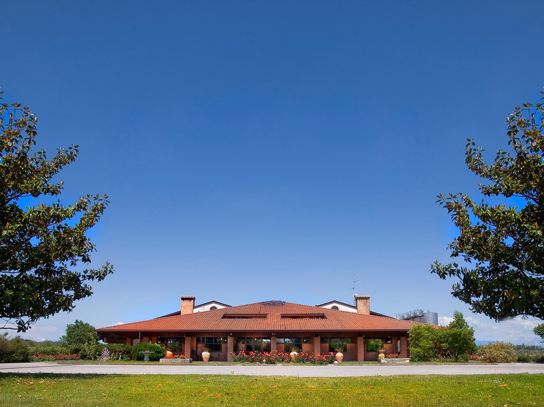 Museo del Vino - Vigneti Pittaro景点图片