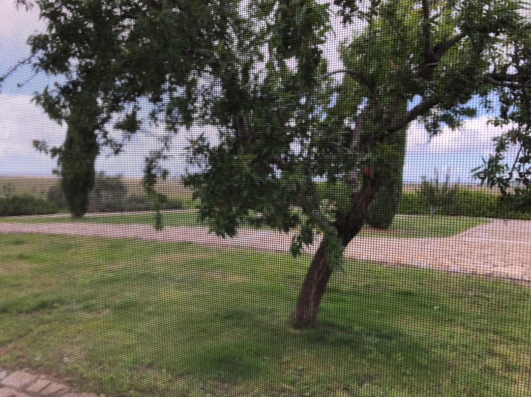 阿雷纳莱斯宫殿霍斯皮斯及spa酒店主图