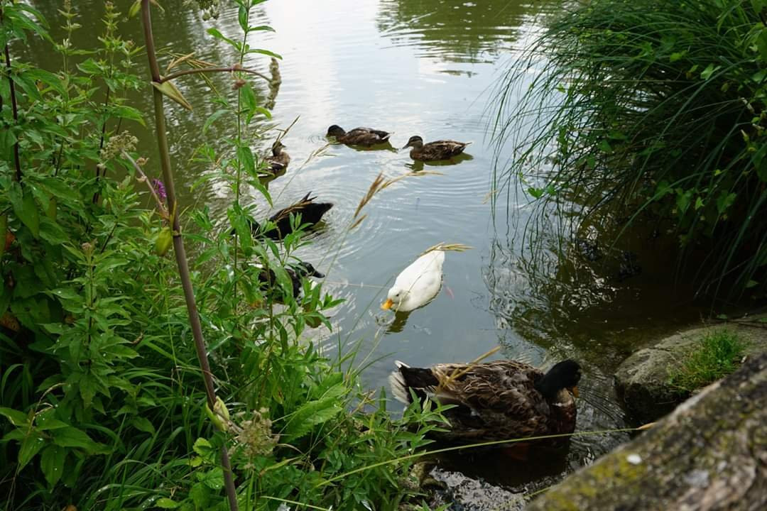 Klostergumpen-Embrach必去景点