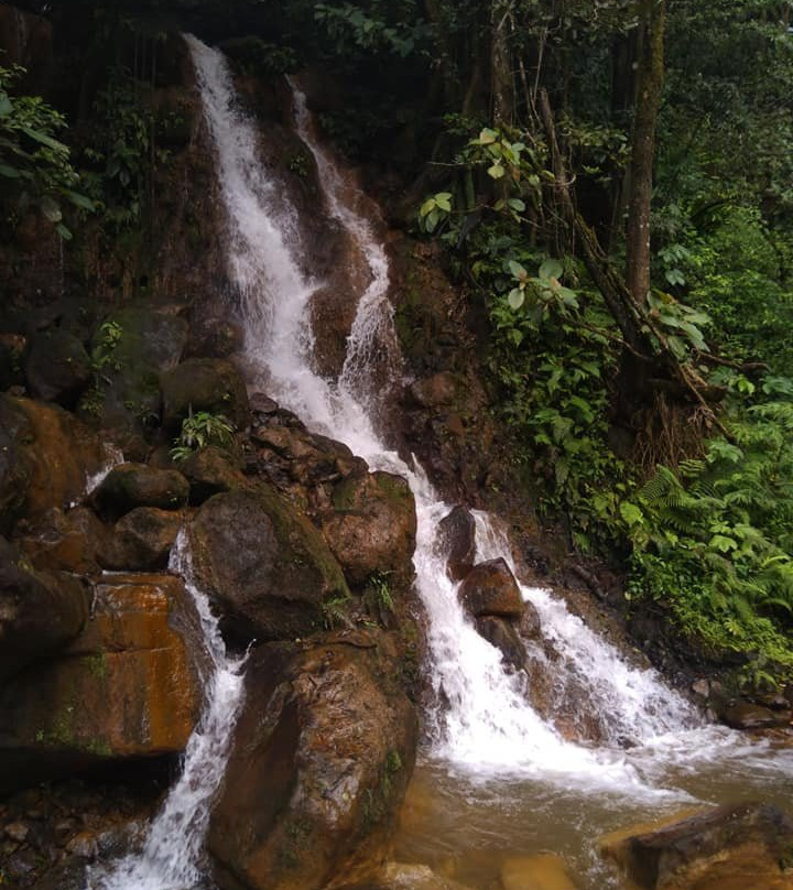 Roadrunner Transfers Costa Rica-塔马林多必去景点