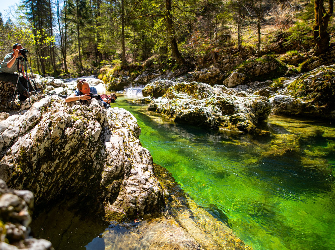 Slovenia Photo Tours-布莱德必去景点