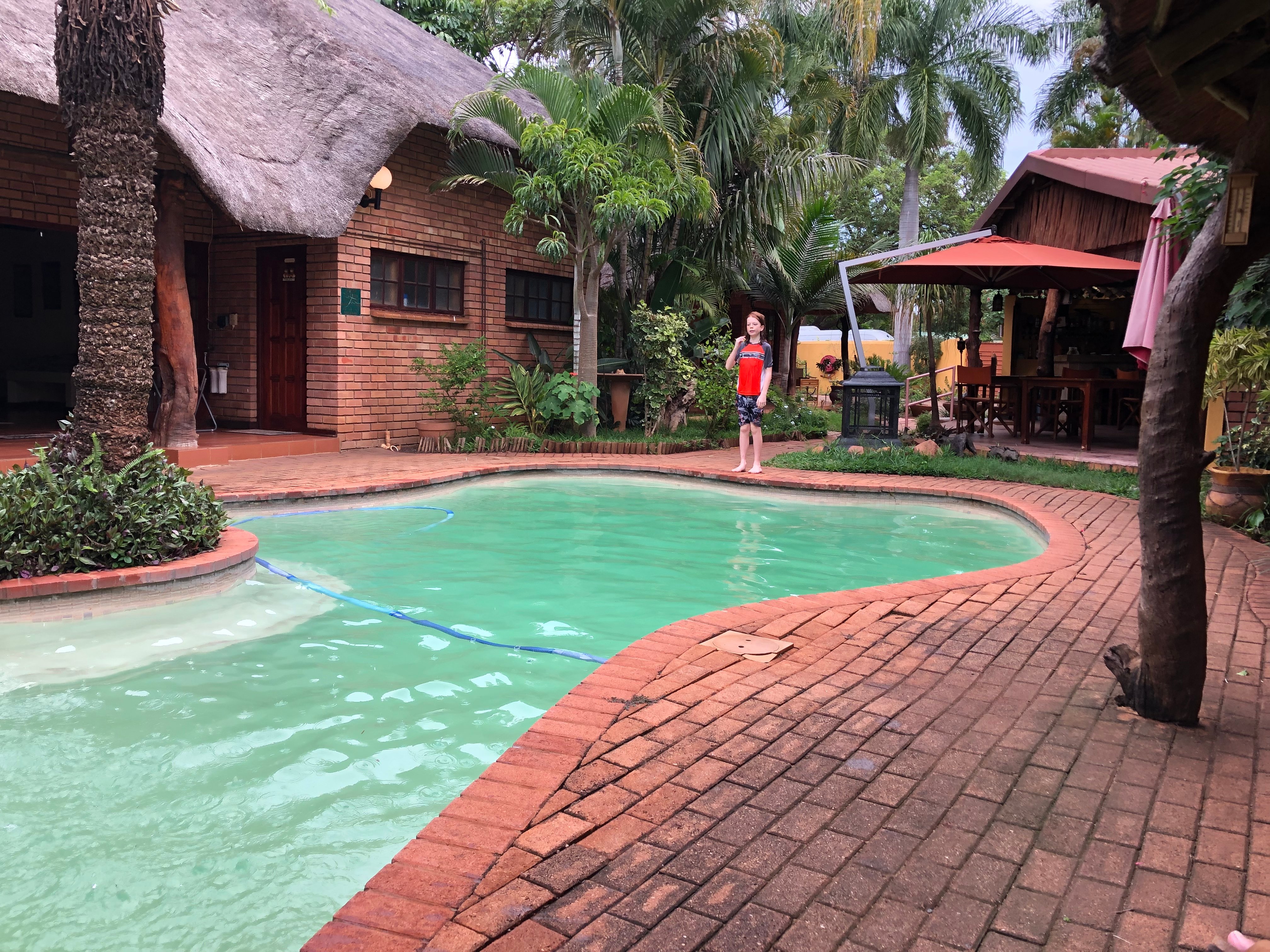 Trees Too Guest Lodge-泳池