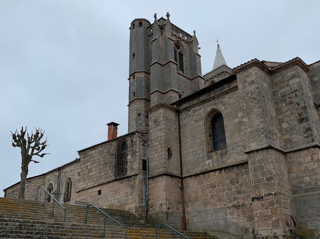 Collégiale de Saint-Bonnet-le-Château景点图片