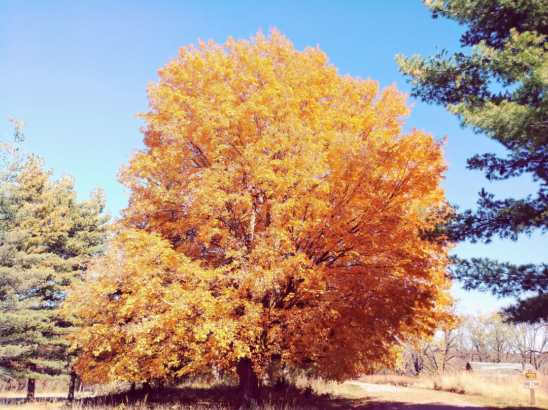 Lake Wapello State Park-Drakesville必去景点