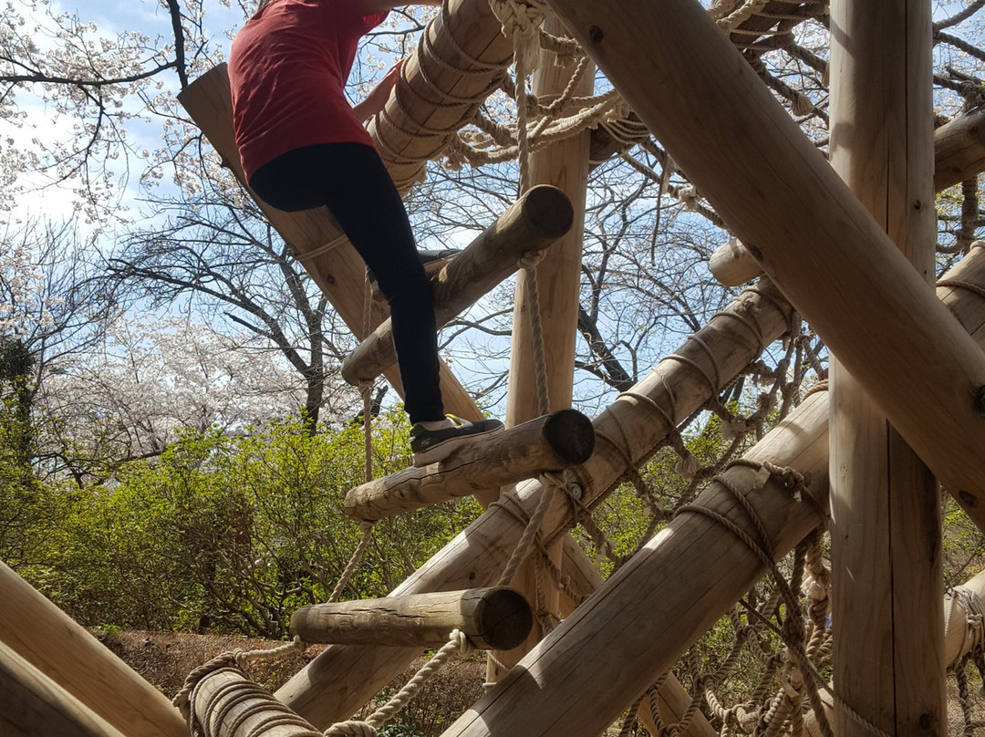 Arinomi Course-市川市必去景点