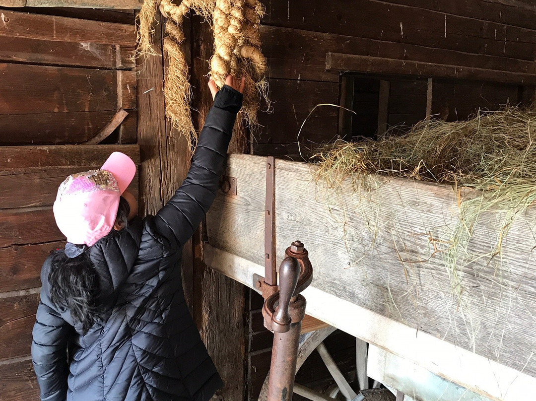 Freilichtmuseum Neuhausen Ob Eck-Neuhausen ob Eck必去景点