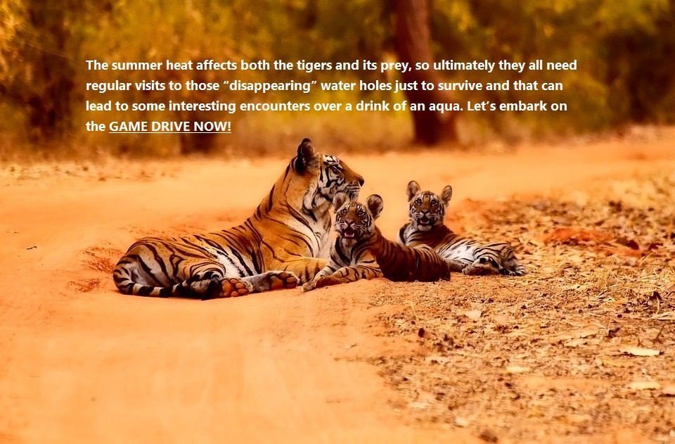 Abby & Scout Tours-斋蒲尔必去景点