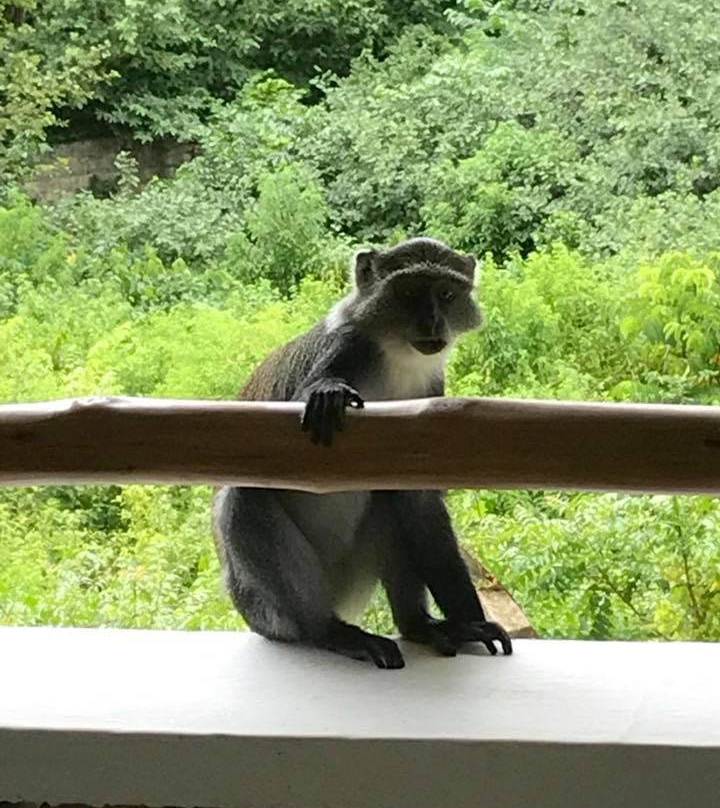 Pinewood Beach Resort and Spa主图