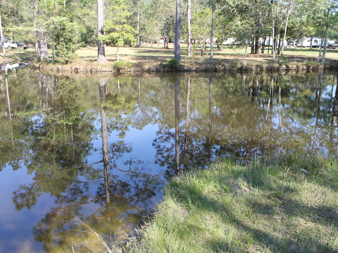 Wilderness RV Park