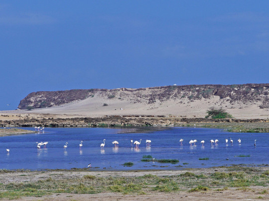 Takamul Travel Oman-塞拉莱必去景点