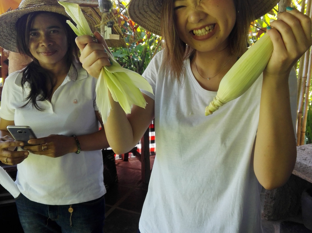 Mai Organic Farm-佩京必去景点