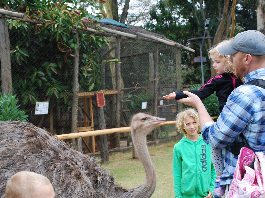 费尔蒙特山肯尼亚野生动物园俱乐部酒店主图